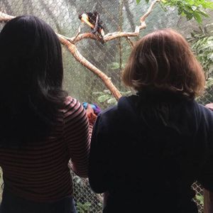 Meet your Posher, Angel